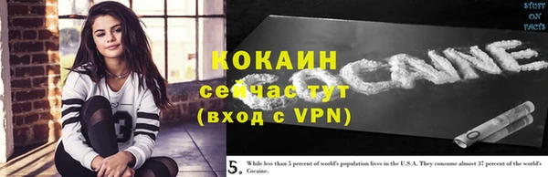 молекула духа Козловка