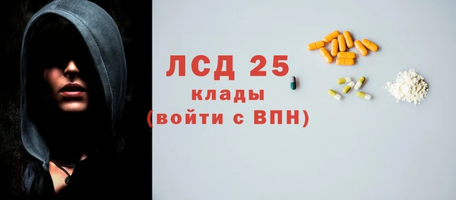 молекула духа Козловка