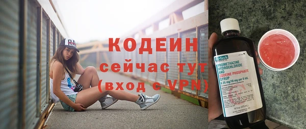 молекула духа Козловка